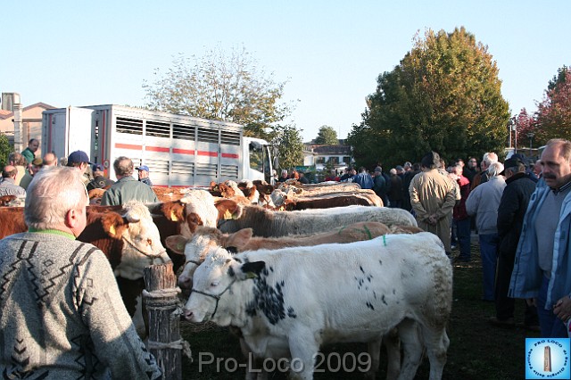 In prà della Antica Fiera di Arsego (2).JPG